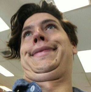 Meet your Posher, Barbara